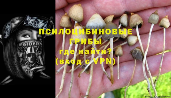 прущая мука Арсеньев