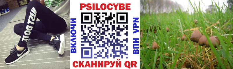 Псилоцибиновые грибы Psilocybine cubensis  Купить закладки  Волжск 